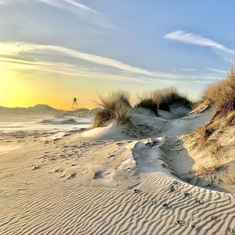 Parc Koudenburg - Camping Ameland - Image N°5