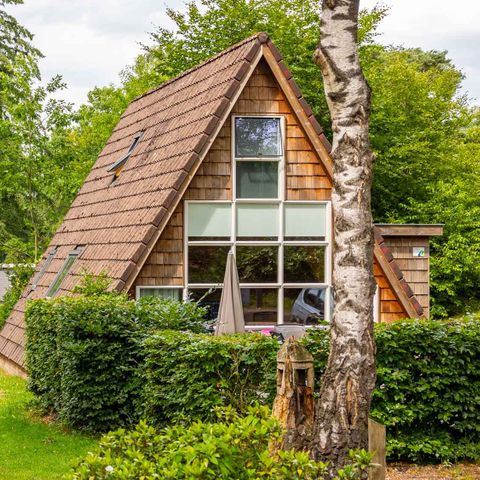 HOUSE 4 people - Goldcrest