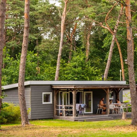 CHALET 6 people - Anemone