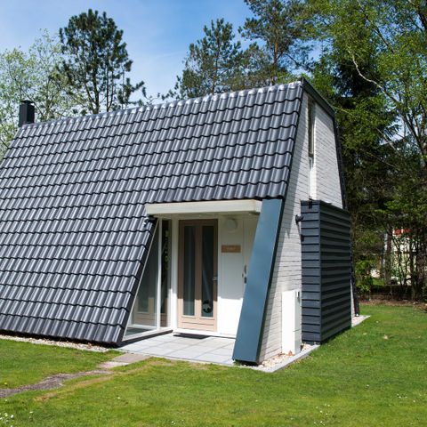 Villa 4 persons - Veluwe 4B