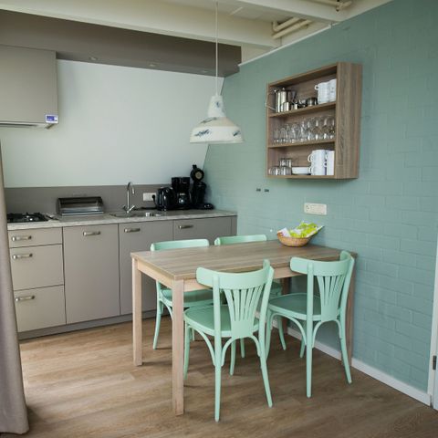 Villa 4 persons - Veluwe 4B