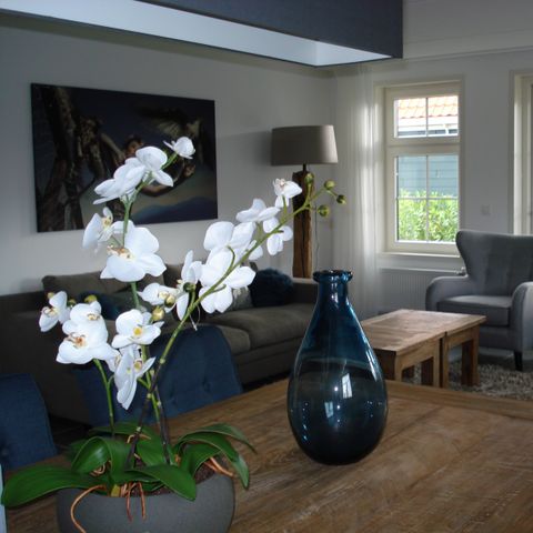BUNGALOW 8 people - Waterland (6-8)