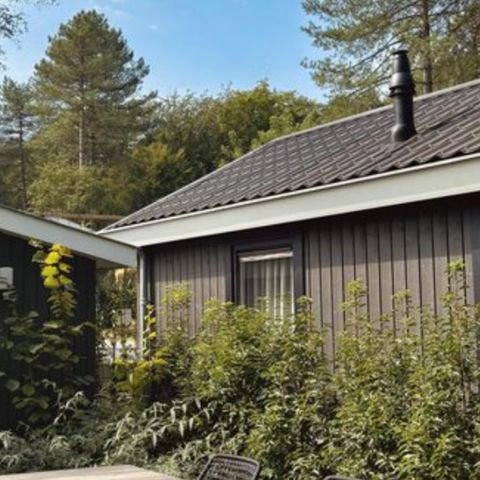 HOUSE 4 people - Cottage Forest Deluxe