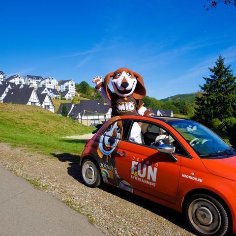 Dormio Resort Eifeler Tor - Camping North Rhine-Westphalia - Image N°3