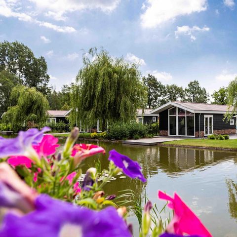 HOUSE 5 people - Lindenhoeve
