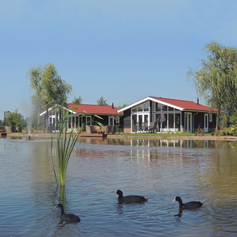 Bungalow 6 persons - Willow Farm