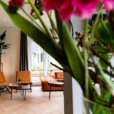 Villa 12 persons - Pool and Wellness (Spa)