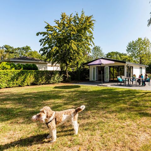 Bungalow 5 persons - Country house MIVA