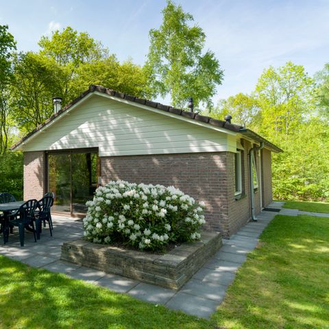 Bungalow 6 persons - Forest Crow Heath