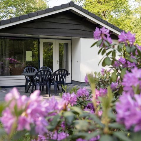 Bungalow 4 persons - Woodland Hawthorn