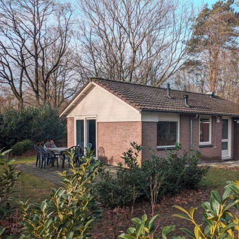 BUNGALOW 6 people - Forest bungalow Cranberry