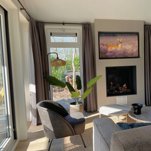 BUNGALOW 6 people - Forest bungalow Willow Rose
