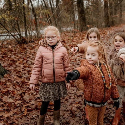 Vakantiepark Westerbergen - De Wolden - Image N°3