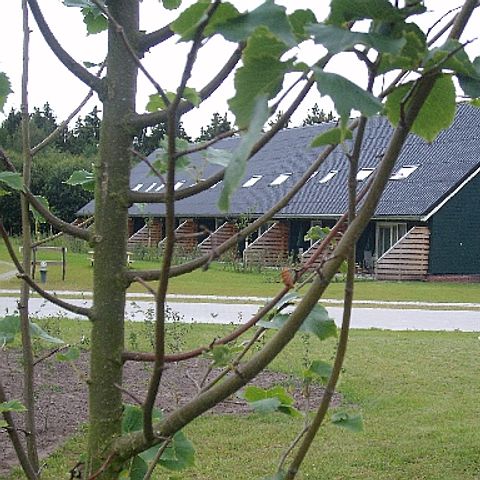 House 6 persons - (children's room)