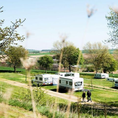 Pitch - Comfort XL