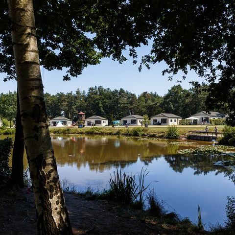 Chalet 6 persons - Stuga
