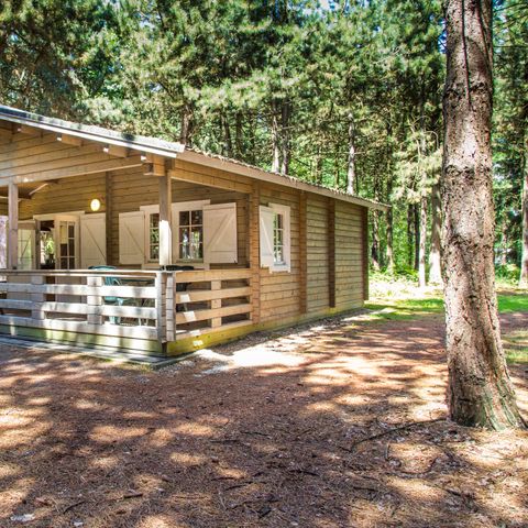 Lodge 4 persons - Lodge Forest
