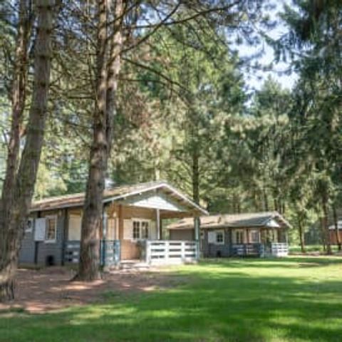 LODGE 6 people - Finse Lodge Plus