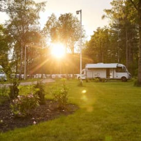 Pitch - Flaasbloem - RCN - Motorhome