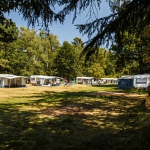 Pitch - Flaasbloem - RCN - Camping