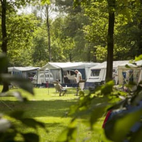 Pitch - Flaasbloem - RCN - Camping