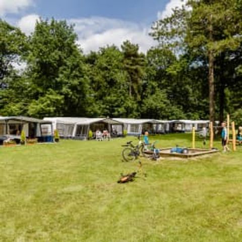 Pitch - Flaasbloem - RCN - Camping