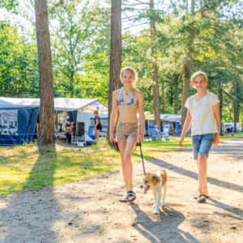 Pitch - Flaasbloem - RCN - Camping