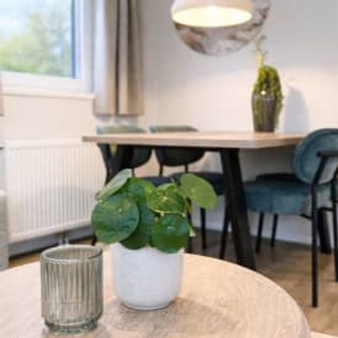 Chalet 4 persons - Chalet Strandjutter