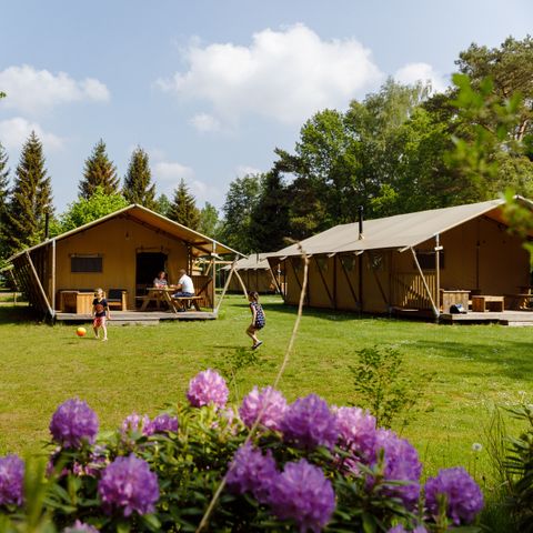 Canvas and wooden tent 6 persons - the Wold Lodge