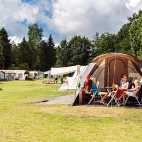 Pitch - RCN Roggeberg - Standard