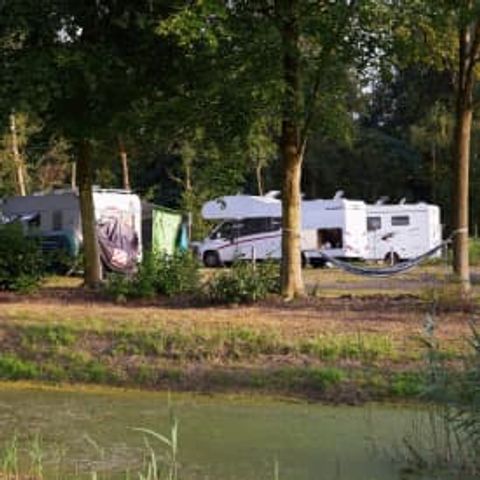 Pitch - RCN Zeewolde - Motorhome