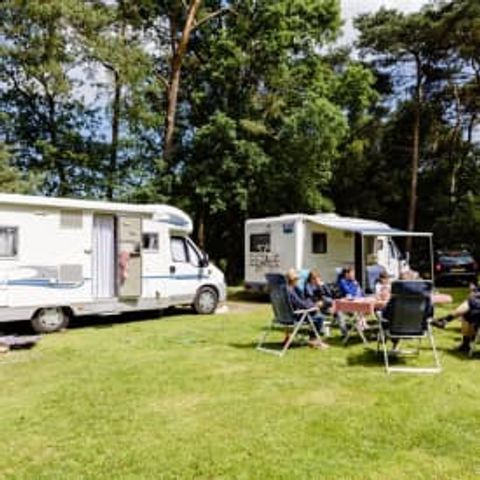 Pitch - RCN Zeewolde - Motorhome