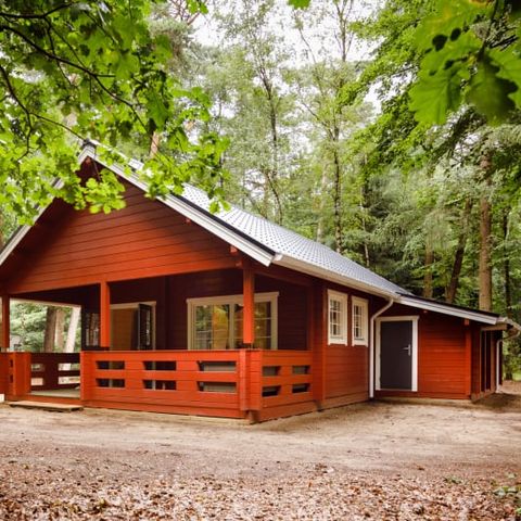 Lodge 6 persons - Lodge Veluwe