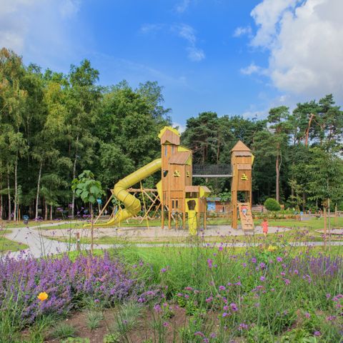 RCN Vakantiepark de Jagerstee - Camping Epe - Image N°5