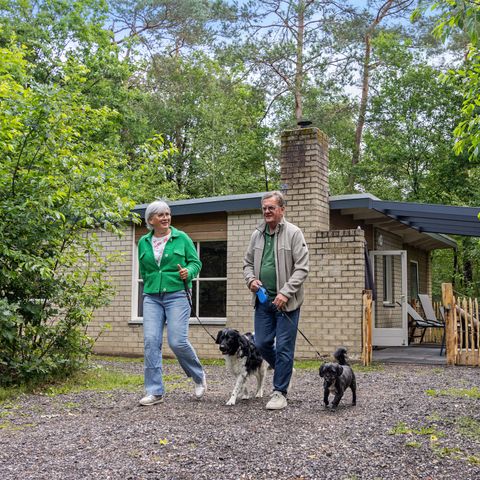 Bungalow 4 persons - Pluto (Pet)