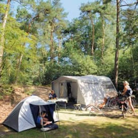 Pitch - RCN de Noordster | Camping pitch / Motorhome pitch