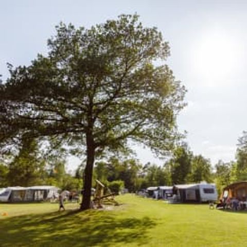 Pitch - RCN de Noordster | Comfort camping pitch