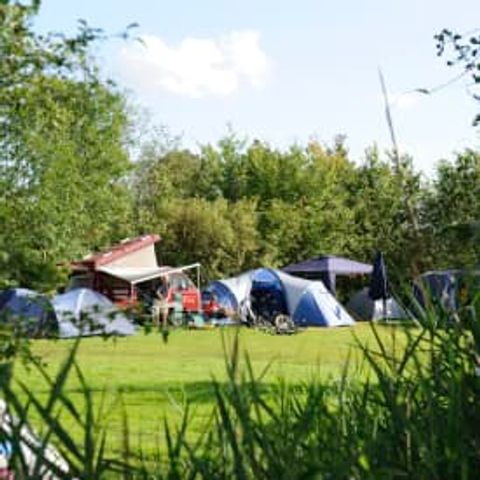 Pitch - RCN Potten - Standard