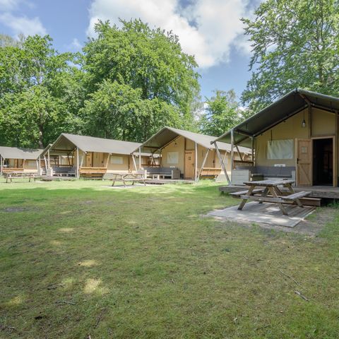 Canvas and wooden tent 6 persons - Rozenburg