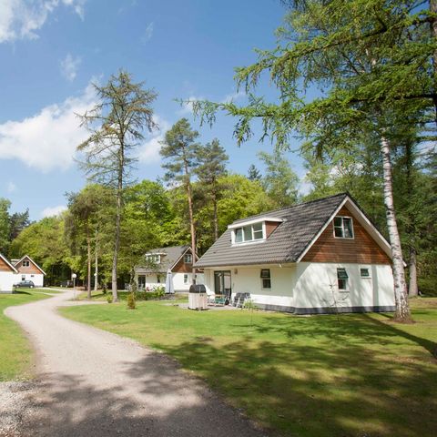 House 6 persons - Hydepark