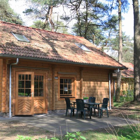 House 7 persons - Sparrendaal