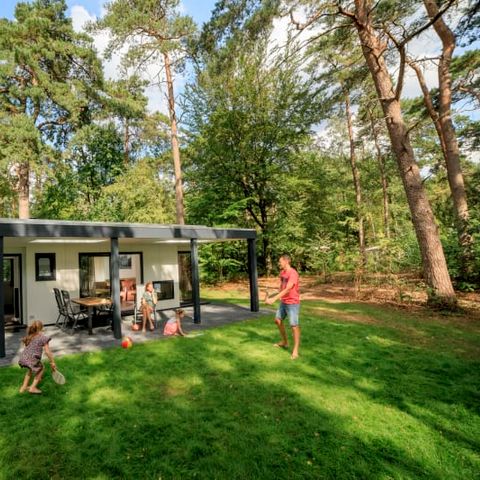 Chalet 4 persons - Zuylestein