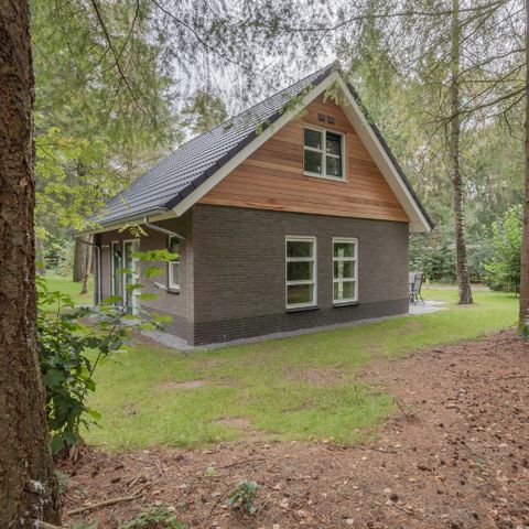 House 6 persons - Heidestein