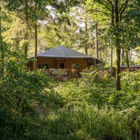 CANVAS AND WOOD TENT 6 people - Lommerlust