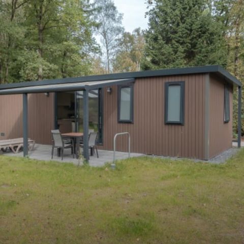 CHALET 4 people - Chalet Reehorst