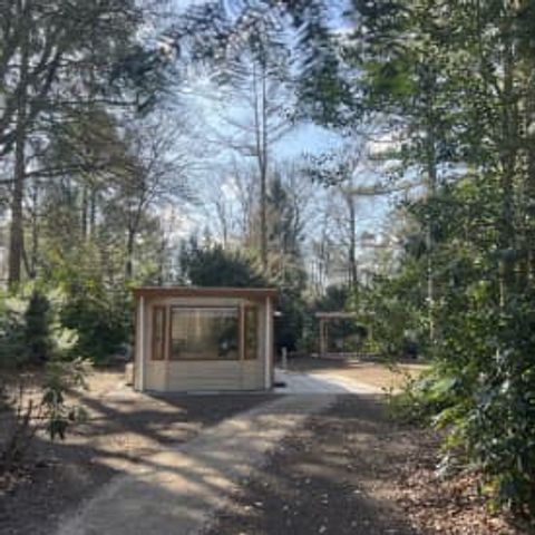 CHALET 3 people - Chalet Dartheide