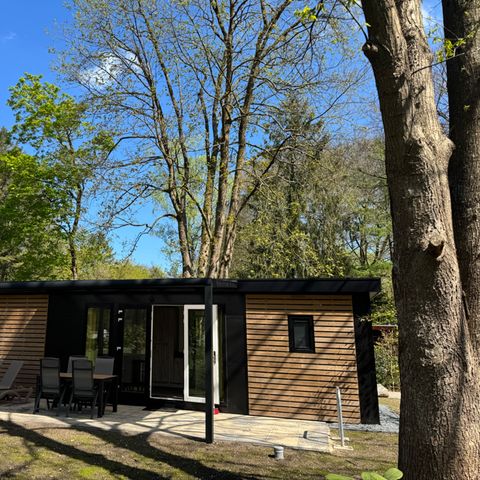 CHALET 4 people - Chalet Weerdensteyn