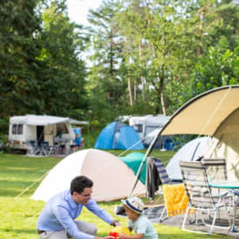 Pitch - RCN het Grote Bos - Standard
