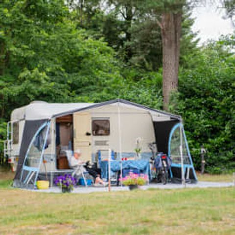 Pitch - RCN het Grote Bos - Standard