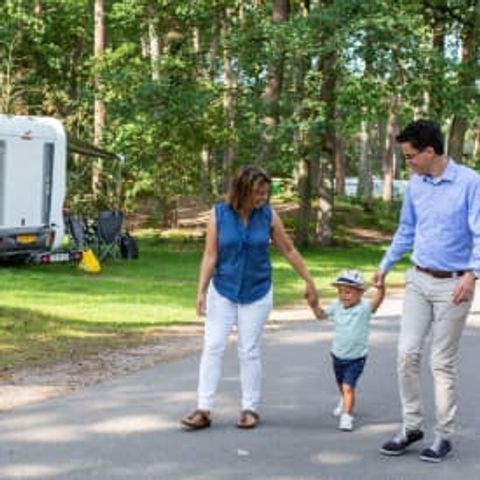 Pitch - RCN het Grote Bos - Standard